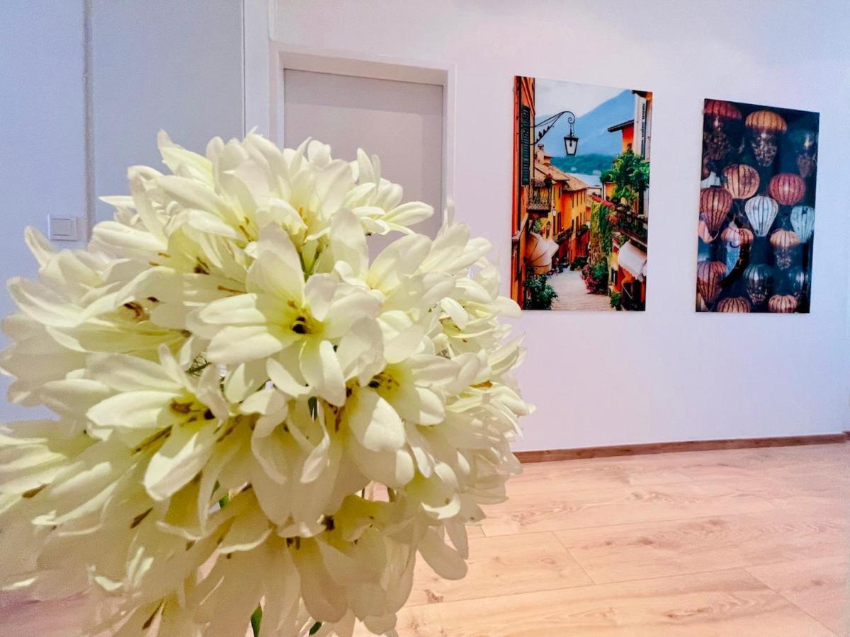 Colorful & Quiet Apartment In Beautiful Viennese Building Εξωτερικό φωτογραφία